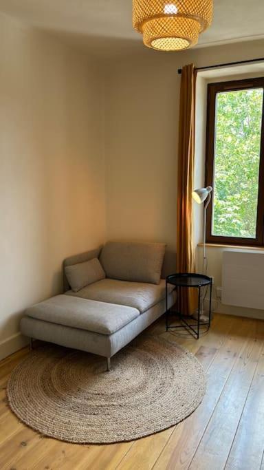 T2 Cocon Avec Balcon Et Parking Apartamento La Roche-sur-Foron Exterior foto